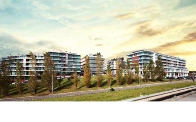 Project Mirador